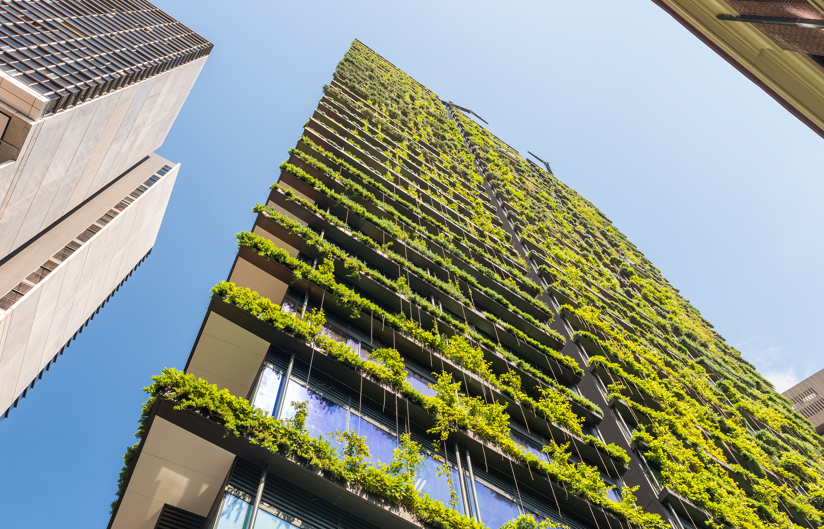 Empowering financial institutions to drive sustainability and growth