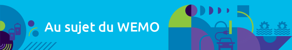 Au sujet du WEMO