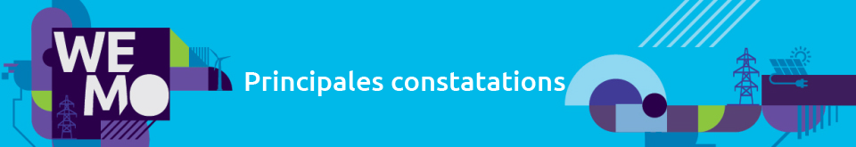 Constats Wemo 2020