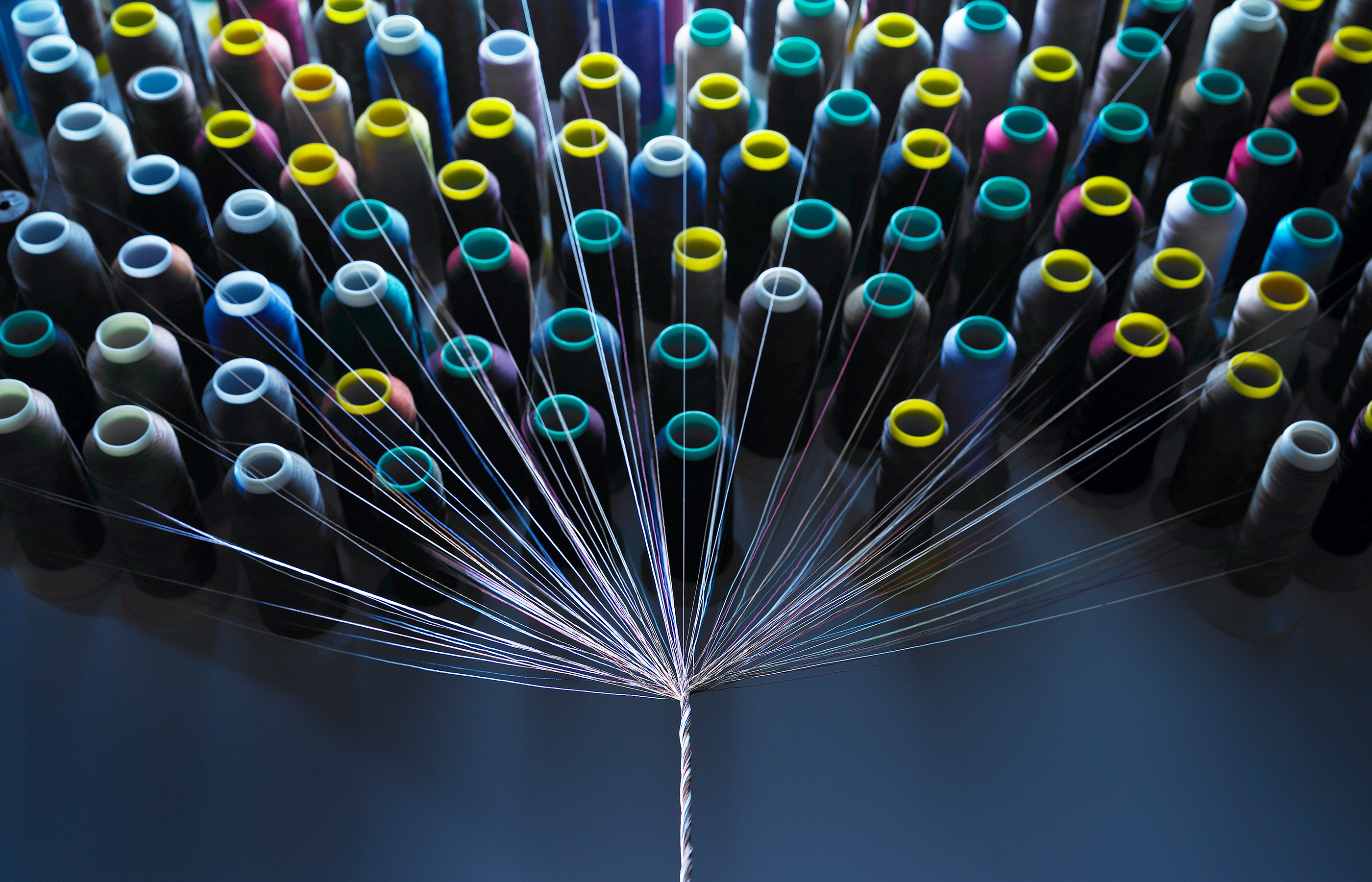 Digital continuity: Building the connected organization