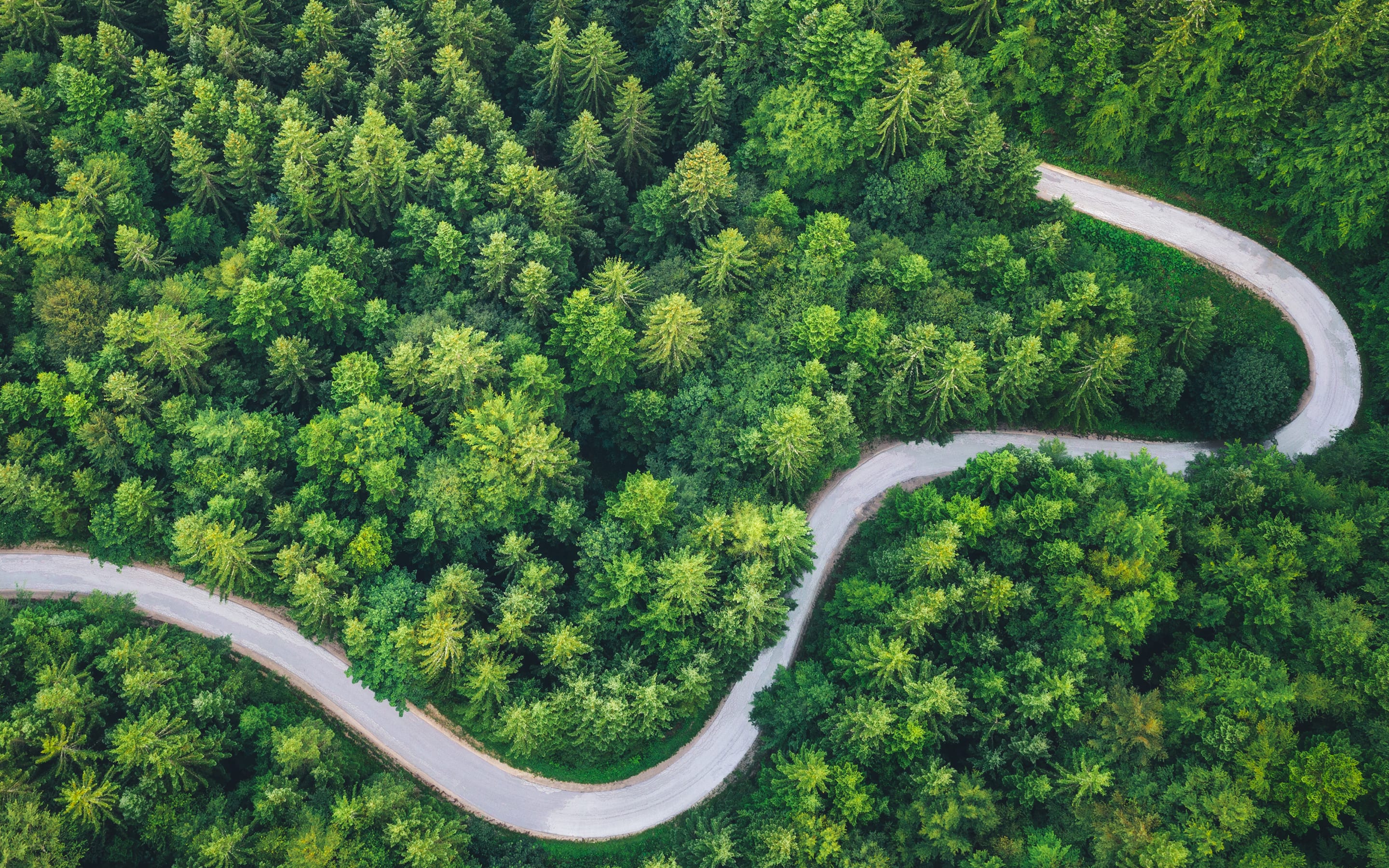 Sustainability for financial services