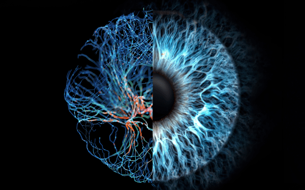 digital transformation