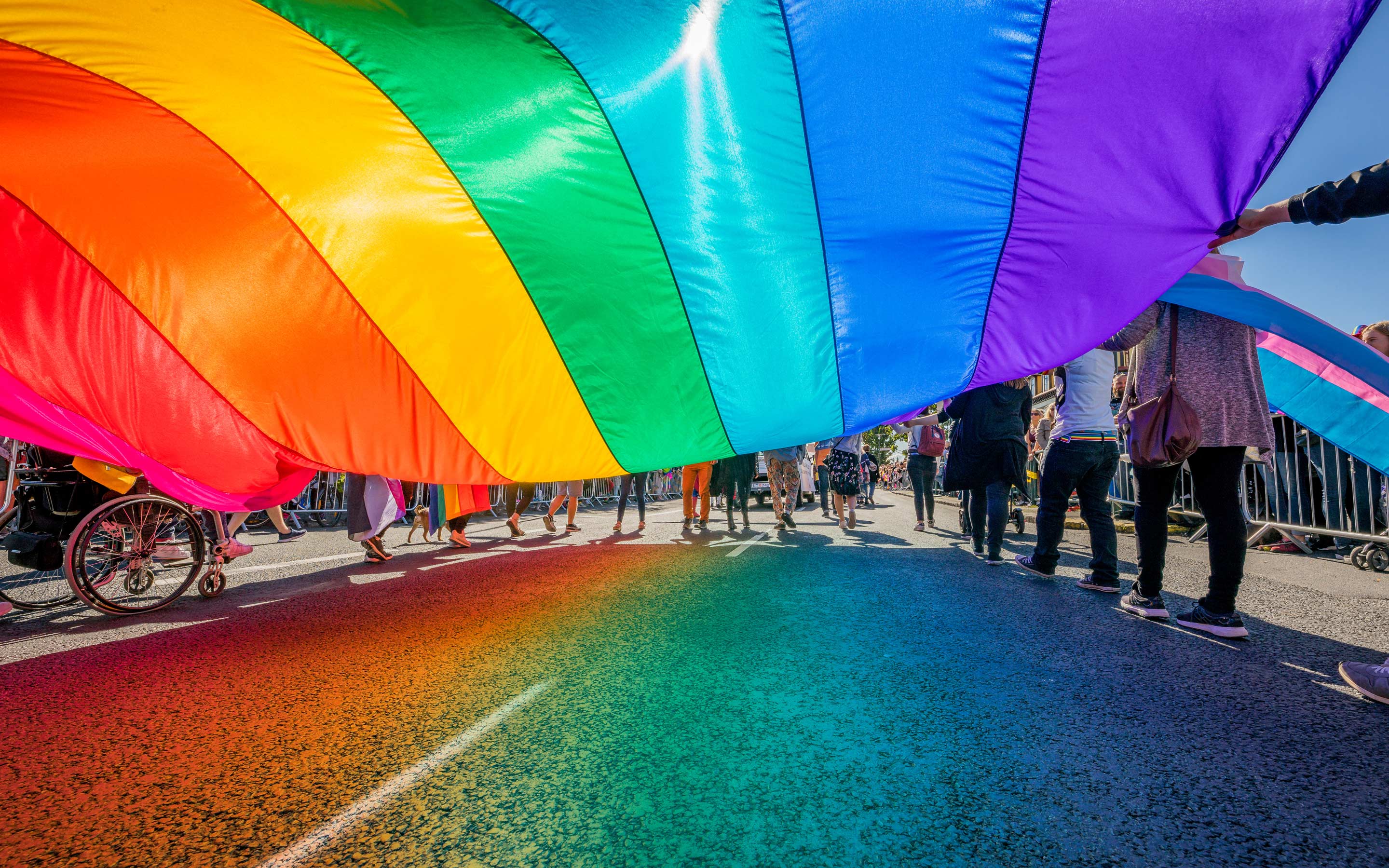 lgbtqia+