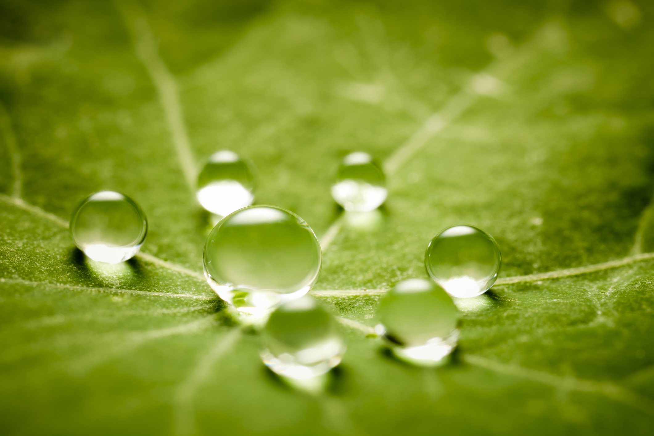water-management-sustainability-it