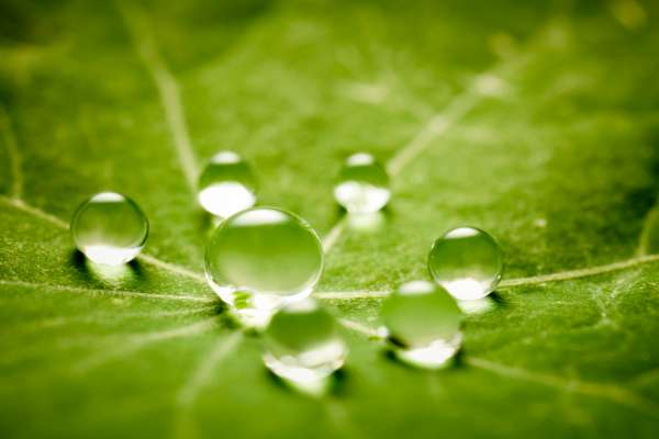 water-management-sustainability-it