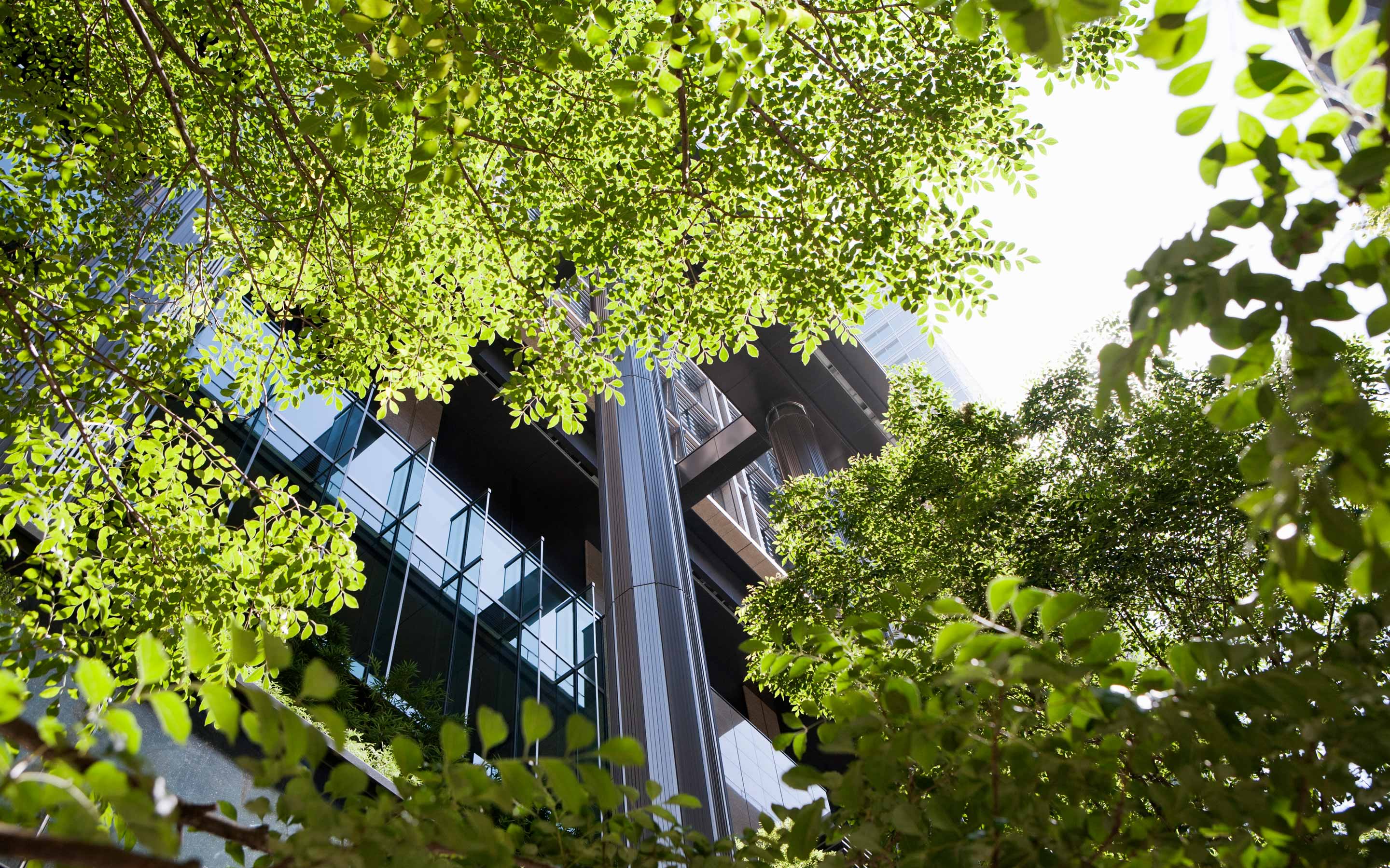 Capgemini_admNEXT_Sustainable-IT-transformation