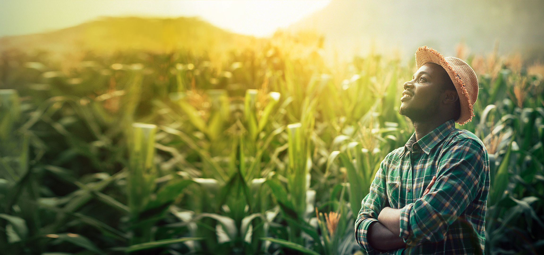 Project-FARM_VI-1
