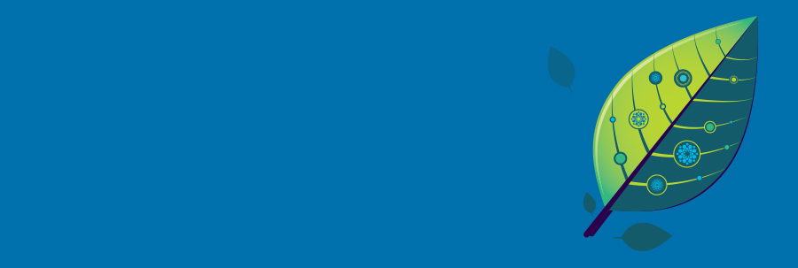 DotCom_banner_900x303-1