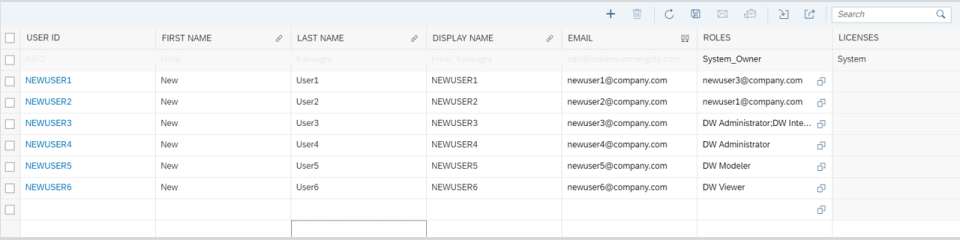 Source: Capgemini UK – Creating users in SAP Data Warehouse Cloud.