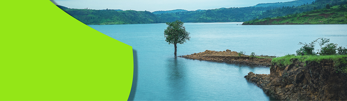Net zero web-banner ES