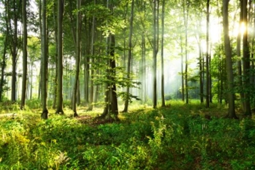 This image has an empty alt attribute; its file name is Picture1.jpg