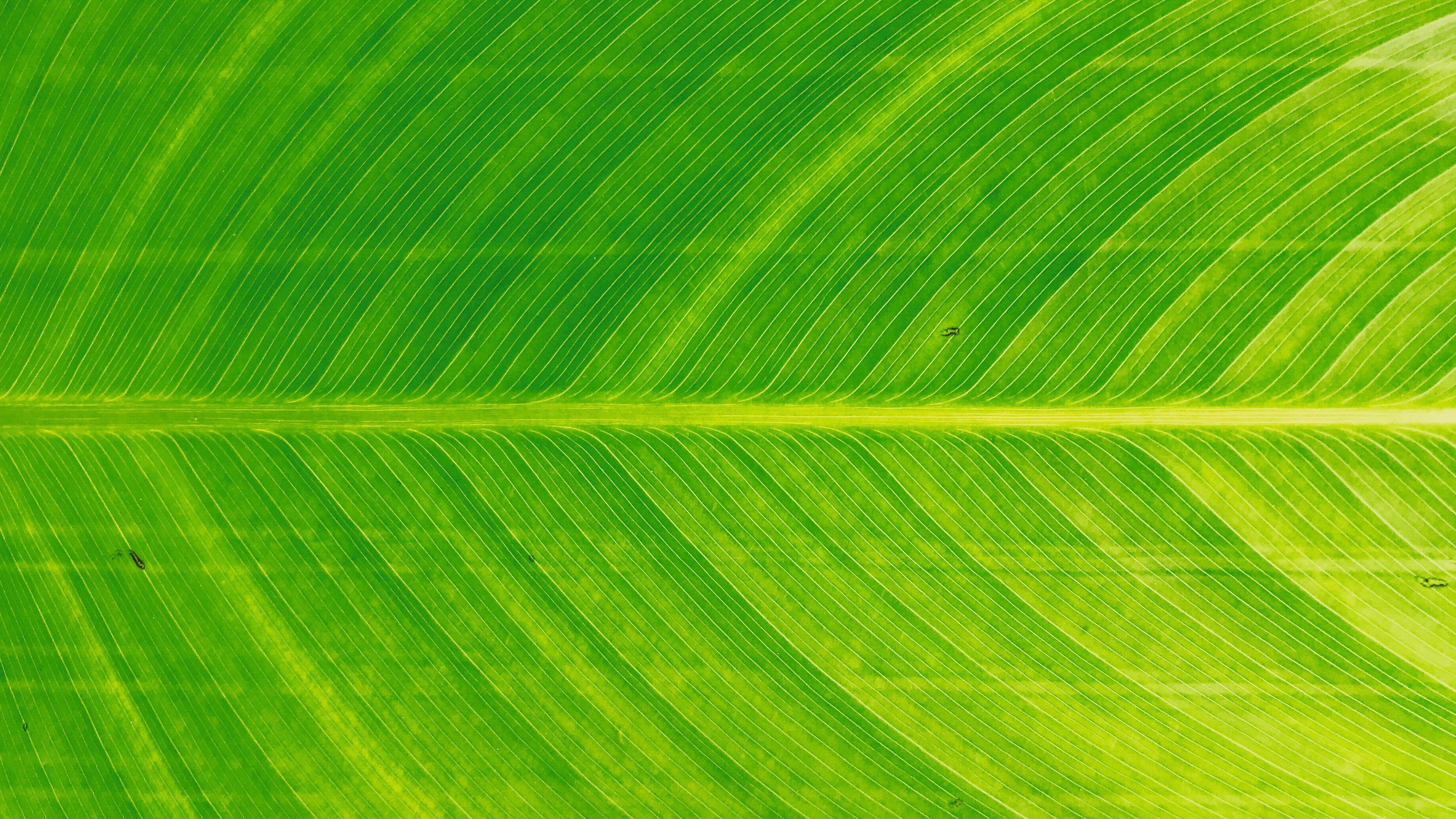 GREEN I.T.