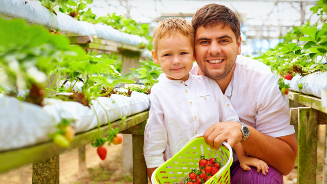 syngentas_continuous_assurance_program_for_compliance