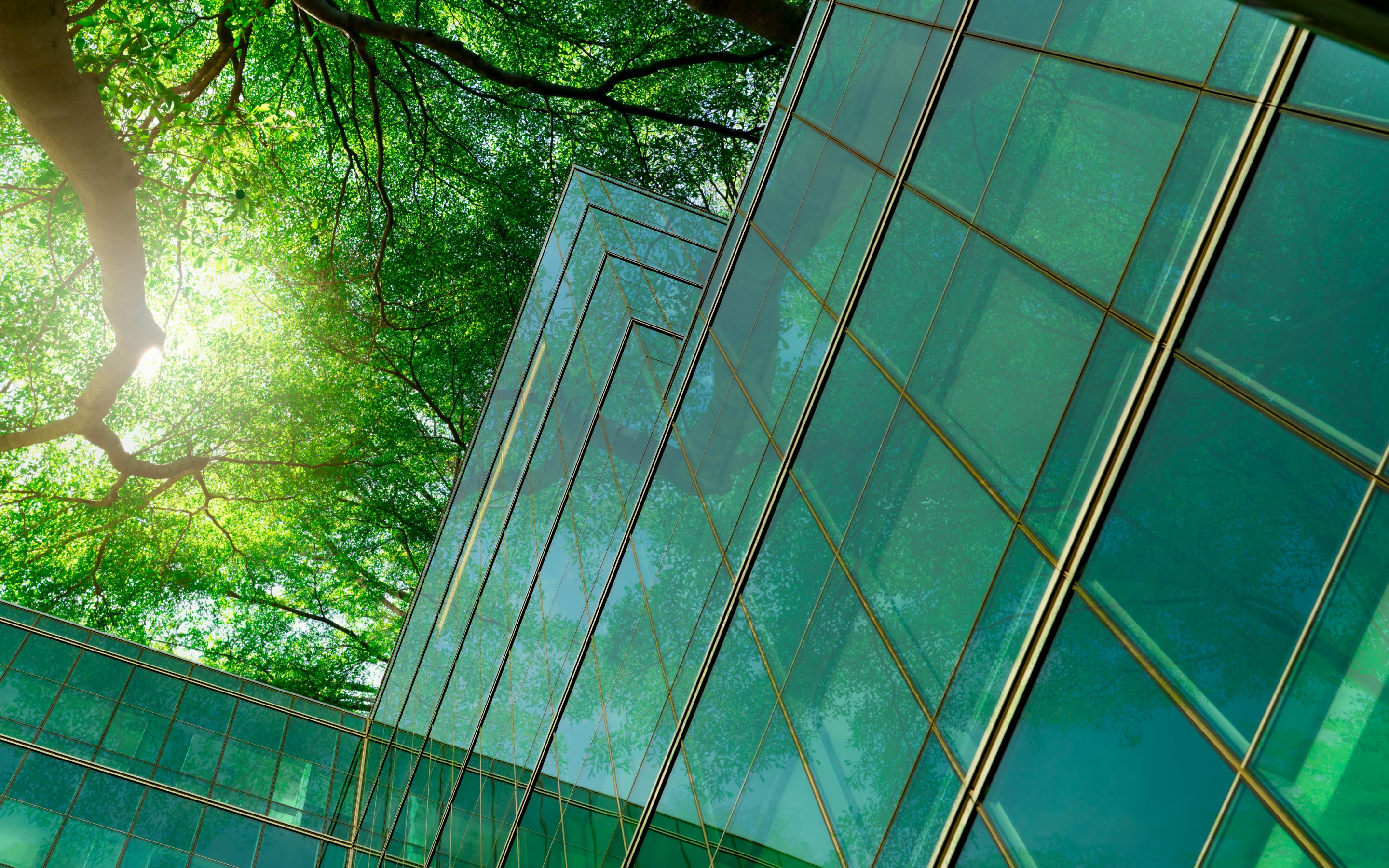 An eco-responsible approach