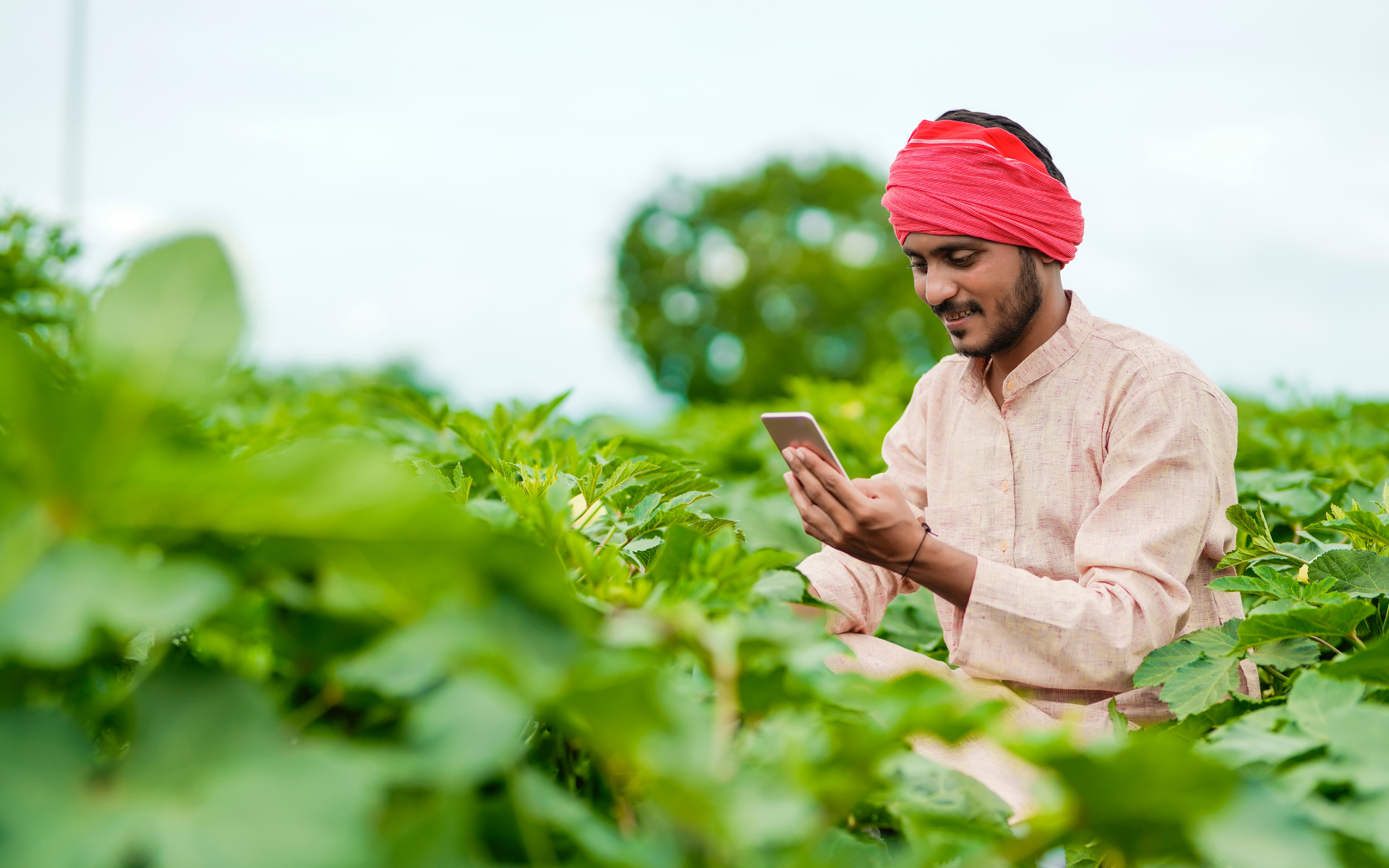 The great digital divide