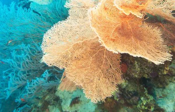 FROM-BIG-DATA-TO-RIGHT-DATA