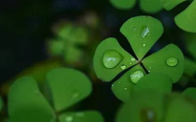 How to use sustainable design strategies to reduce costs across the value chain