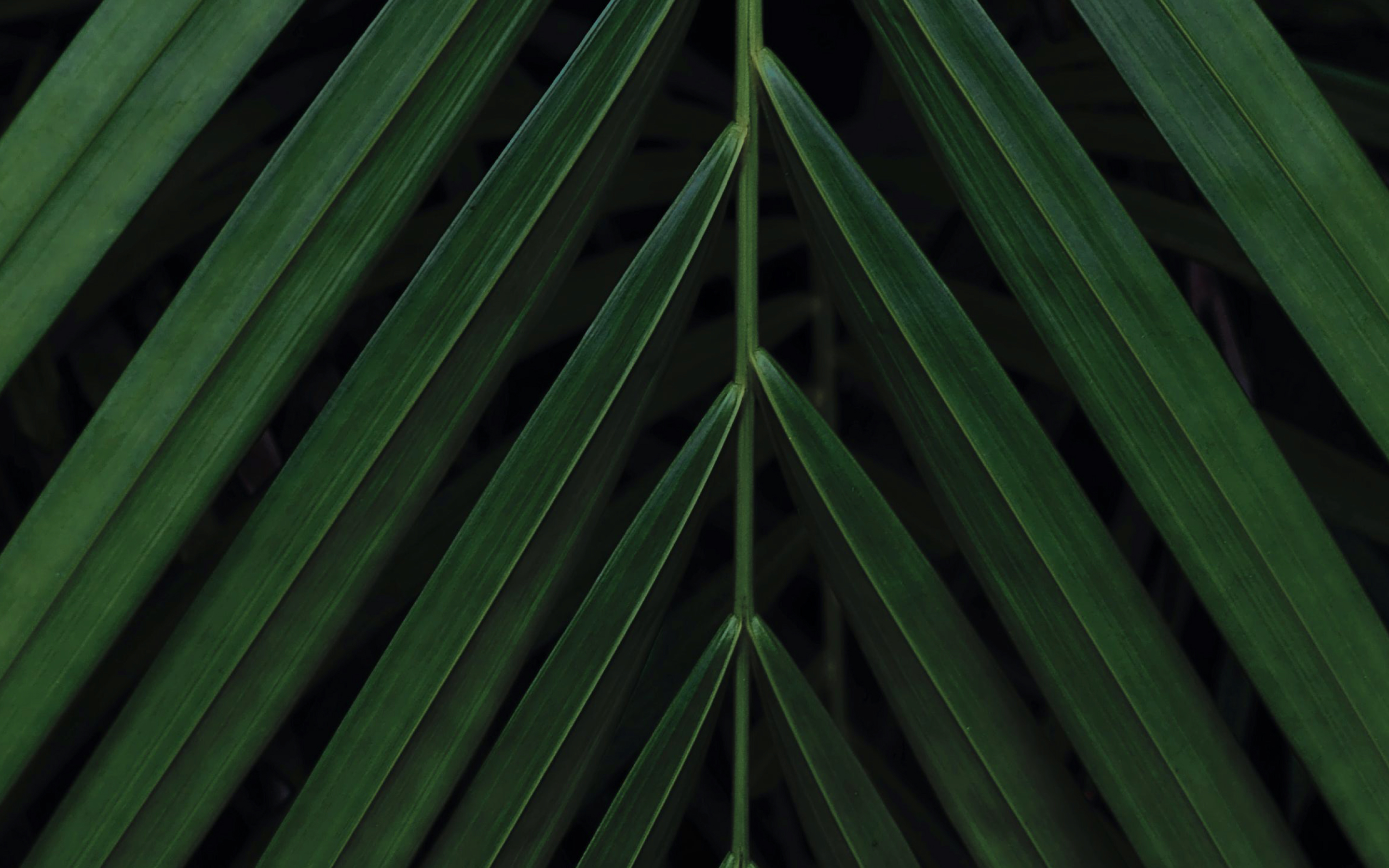 Eco-digital