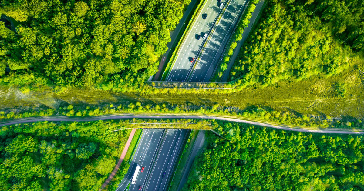 Topview van een snelweg met een natuurbrug.