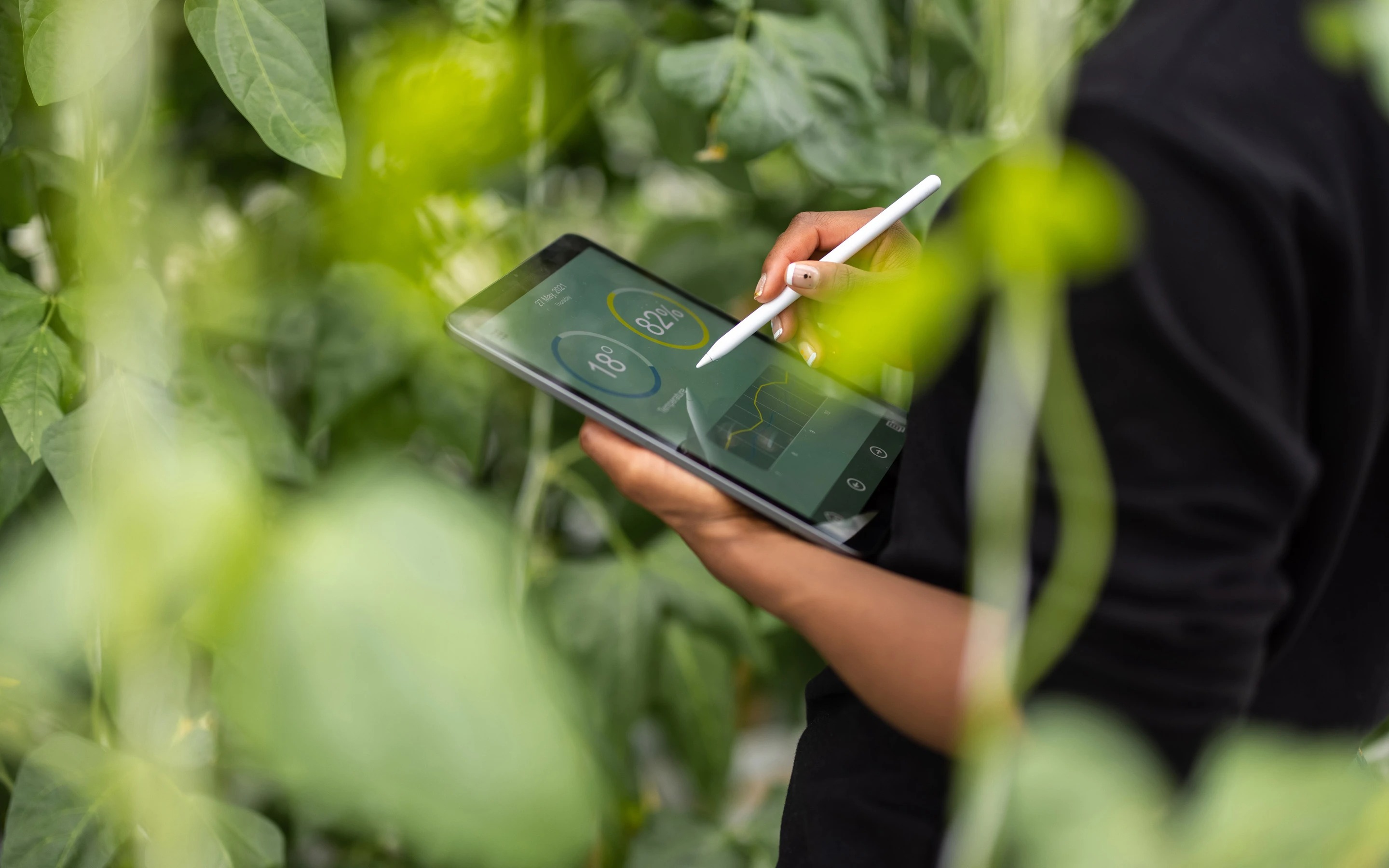 zblżenie na tablet, osoba wskazuje rysikiem na co ś na ekranie, w tle liście