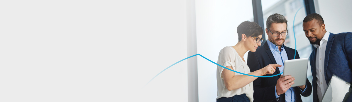 HFS-vision-for-digital-maturity-in-the-Nordic-region