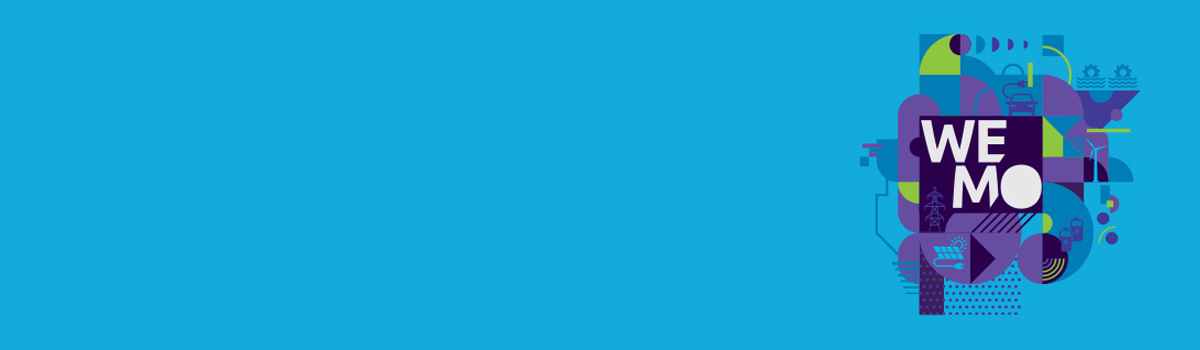 wemo-banner