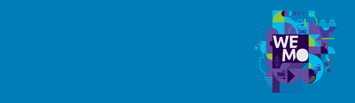 WEMO_expert_Cozzens