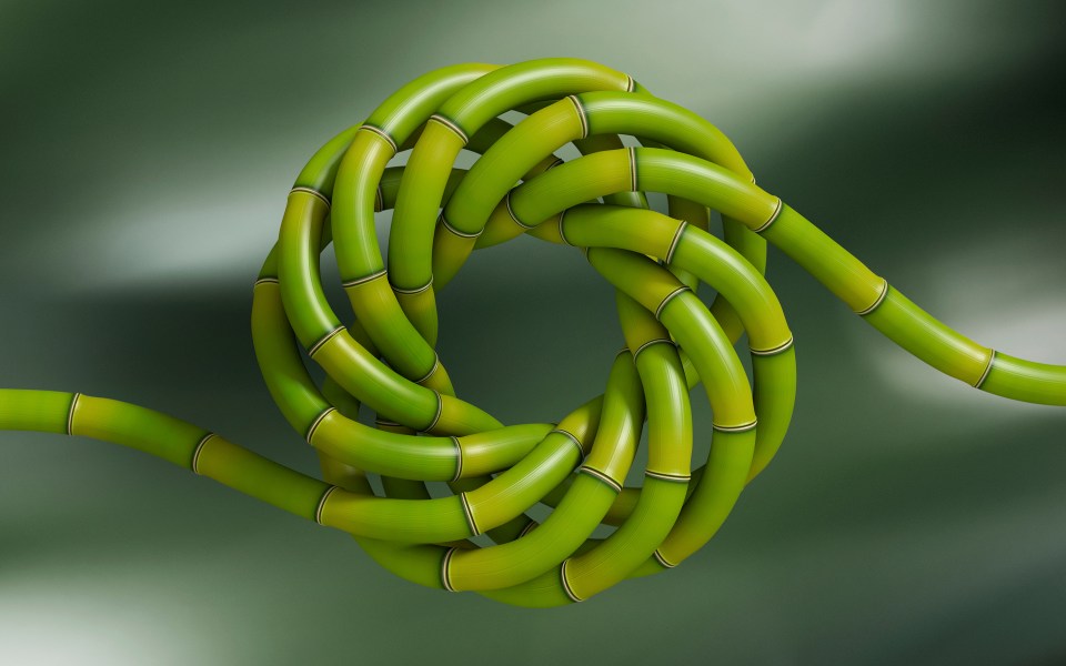 Sustainability in automotive: From ambition to action