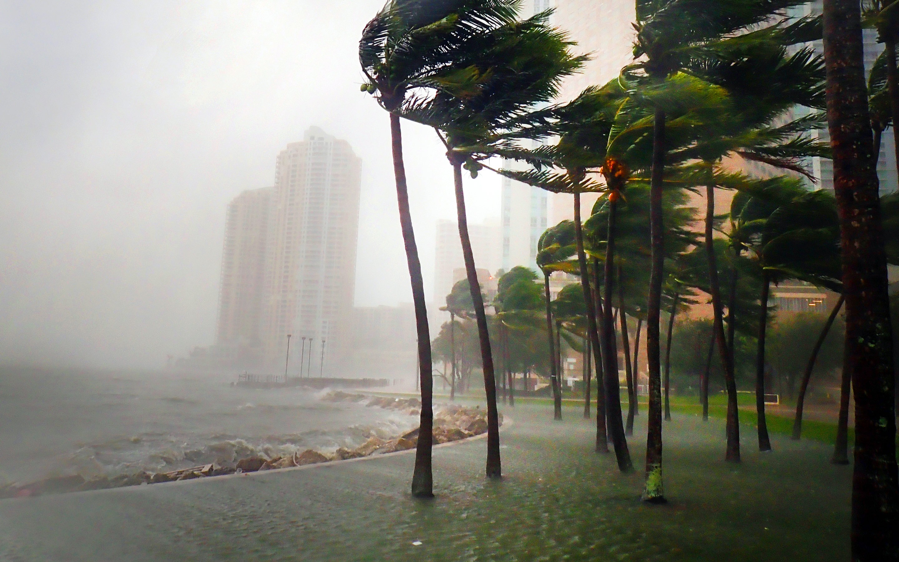 Sustainability-in-Insurance