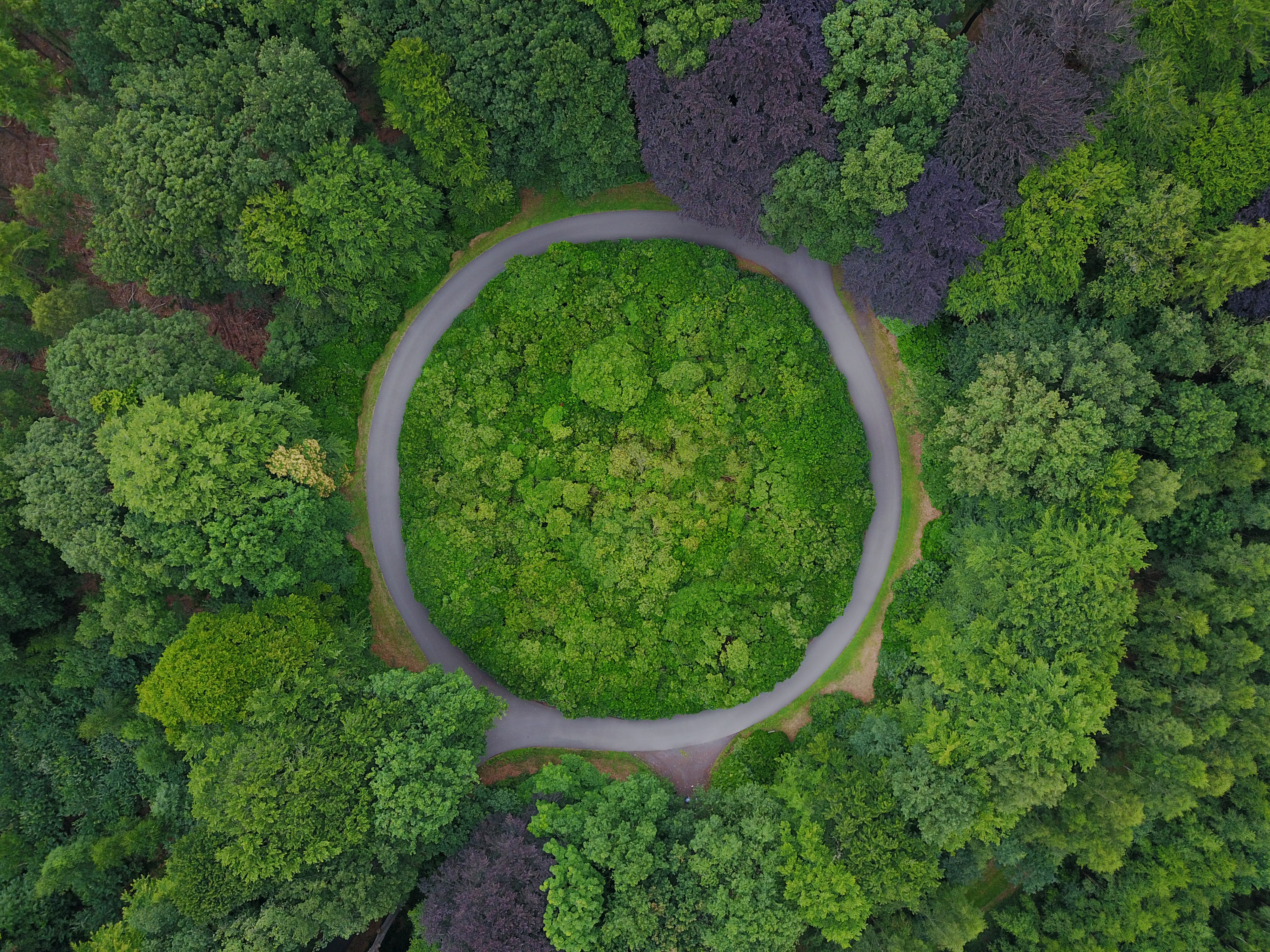 sustainable supply chain management