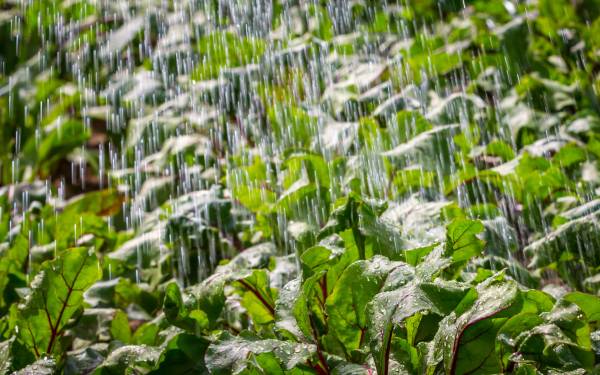 Serendipity systems: architecting personalization systems at scale