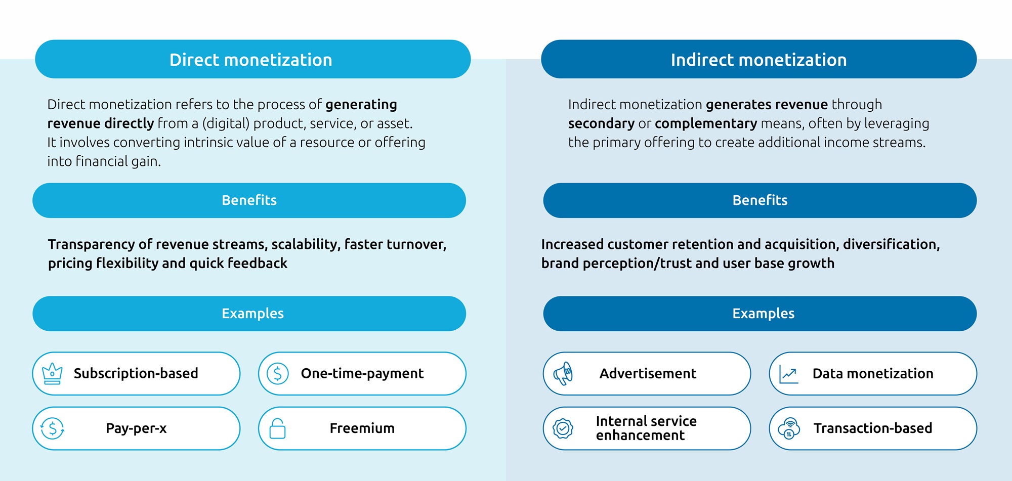 Direct and Indirect Monetization Strategies infographic
