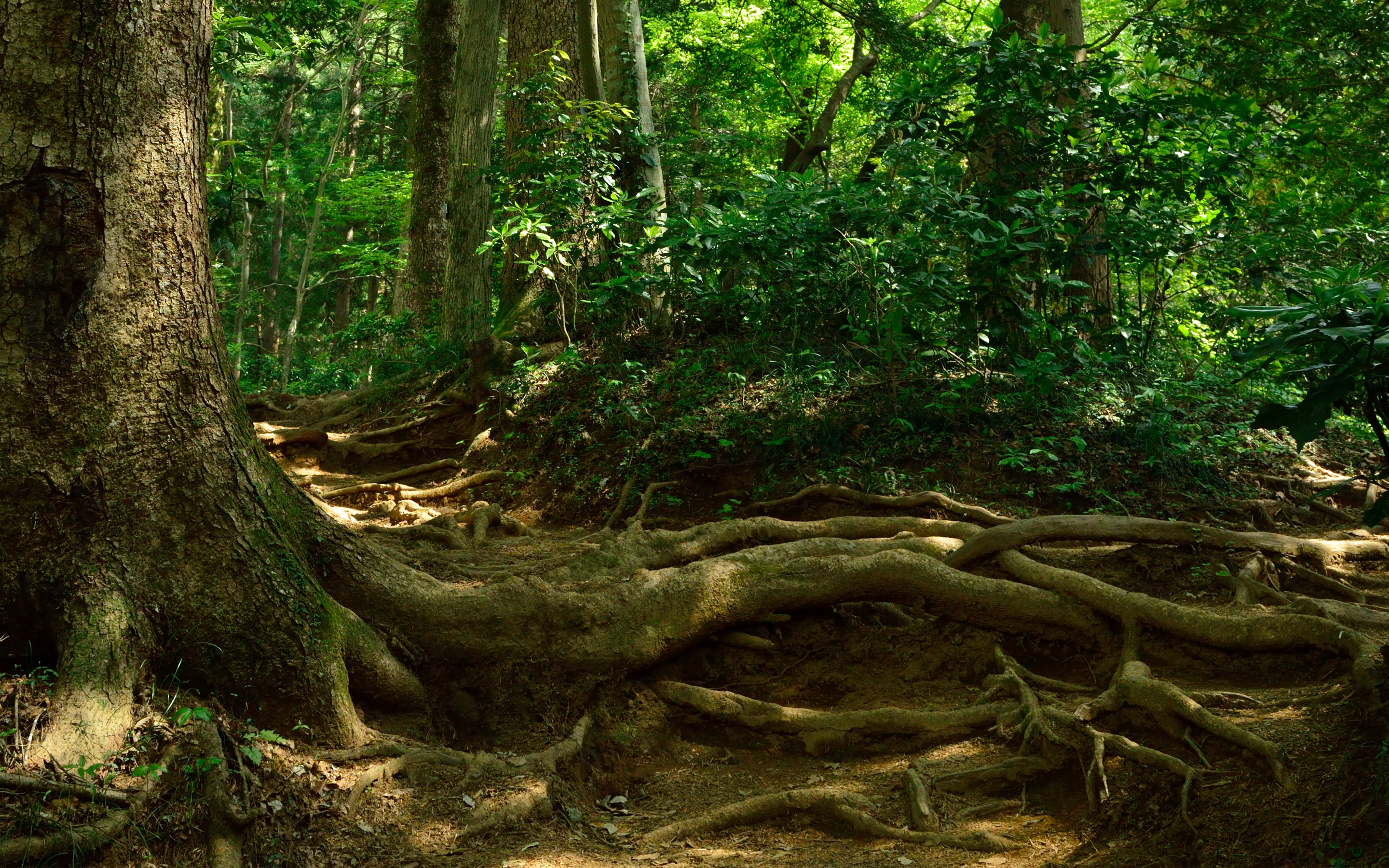 Sustainability in engineering